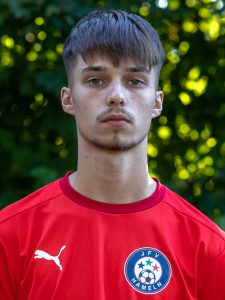 Engagierte Vorstellung: Damir